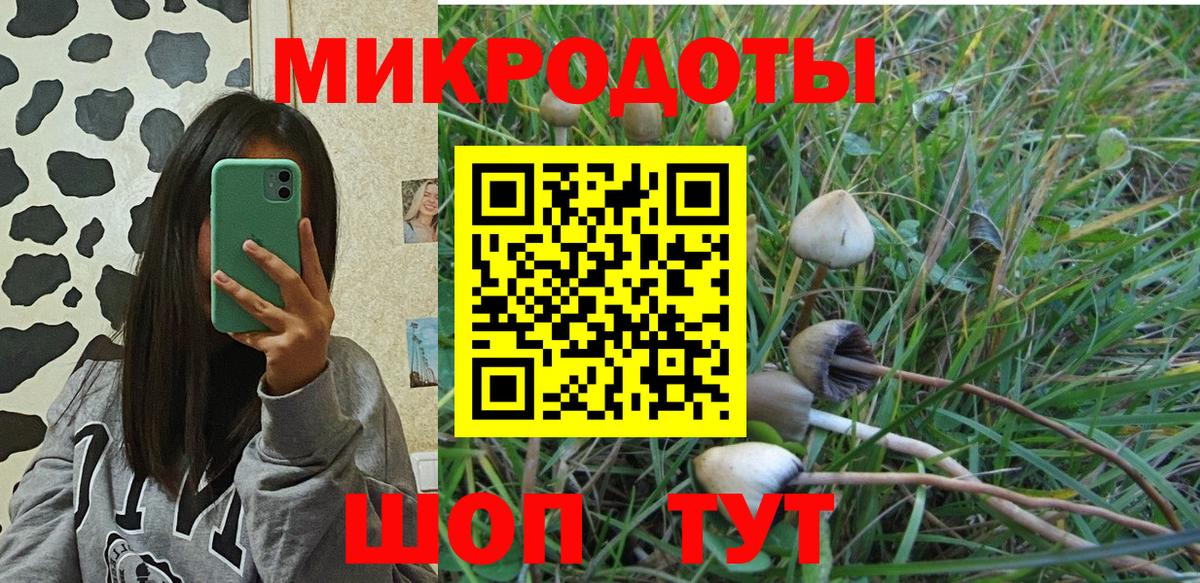 Новосибирск  Галлюциногенные грибы прущие грибы  Вход с VPN 